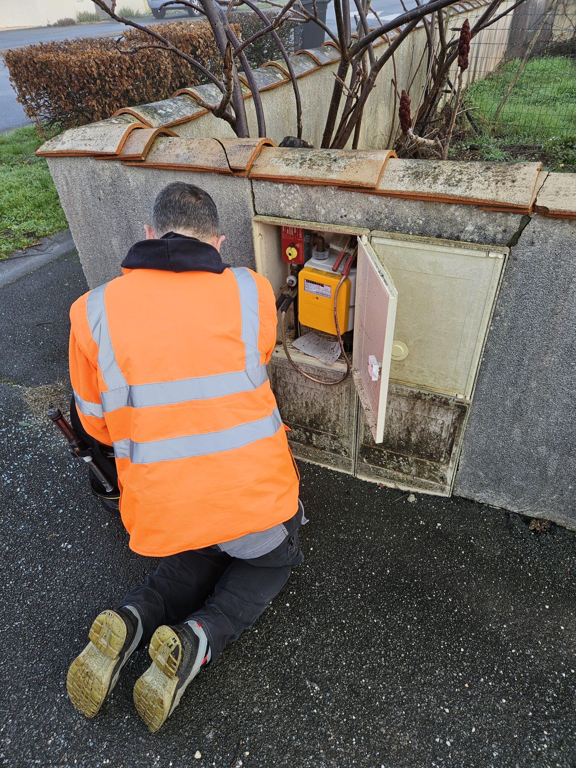 20250213_095113 - LEPICQ